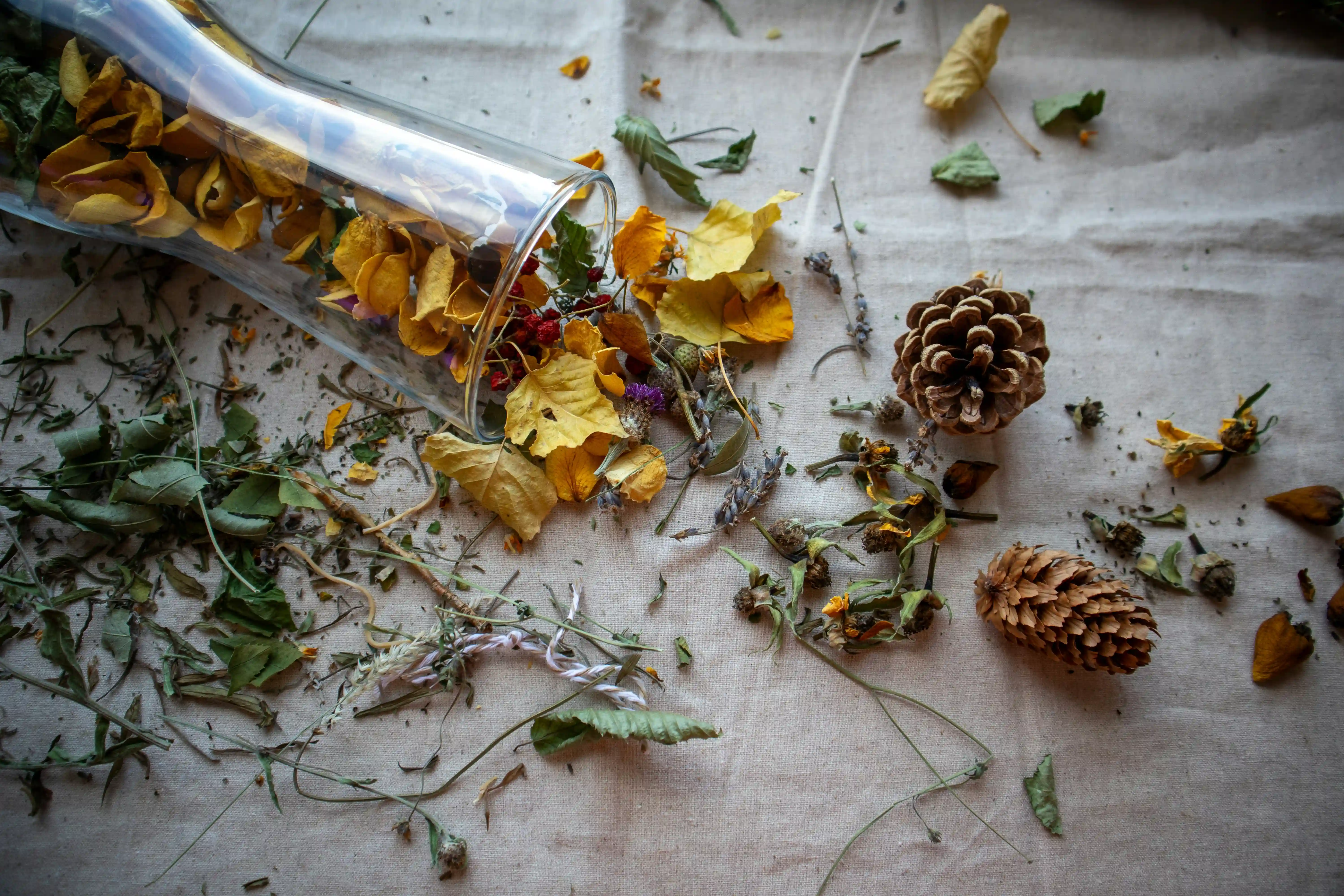 Collection of dried herbs and botanical ingredients arranged on natural linen fabric